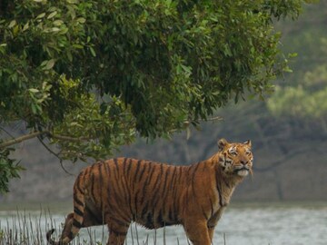 প্রতীকী ছবি৷ Photo-PTI