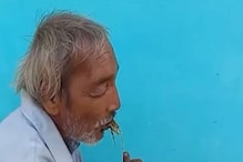 ১০ বছর ধরে শুধু ঘাস, পাতা ও কাঠ খেয়েই দিব্যি বেঁচে এই ব্যক্তি ! ভিডিও ভাইরাল ১০ বছর ধরে শুধু ঘাস, পাতা ও কাঠ খেয়েই দিব্যি বেঁচে এই ব্যক্তি ! ভিডিও ভাইরাল