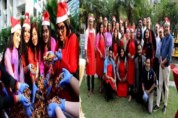 বড়দিন আসছে...হাতে গ্লাভস, স্যান্টাক্লজের টুপিতে সেজে কেক বানালেন সায়ন্তনী-ফলক