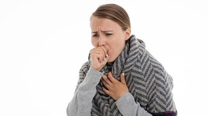 ফাইল ছবি ফাইল ছবি