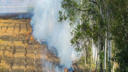 Farmers from Paschim Medinipore are burning crop residues and pollution is happening- Photo- PTI Farmers from Paschim Medinipore are burning crop residues and pollution is happening- Photo- PTI