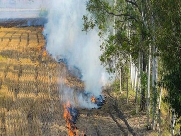 Farmers from Paschim Medinipore are burning crop residues and pollution is happening- Photo- PTI 