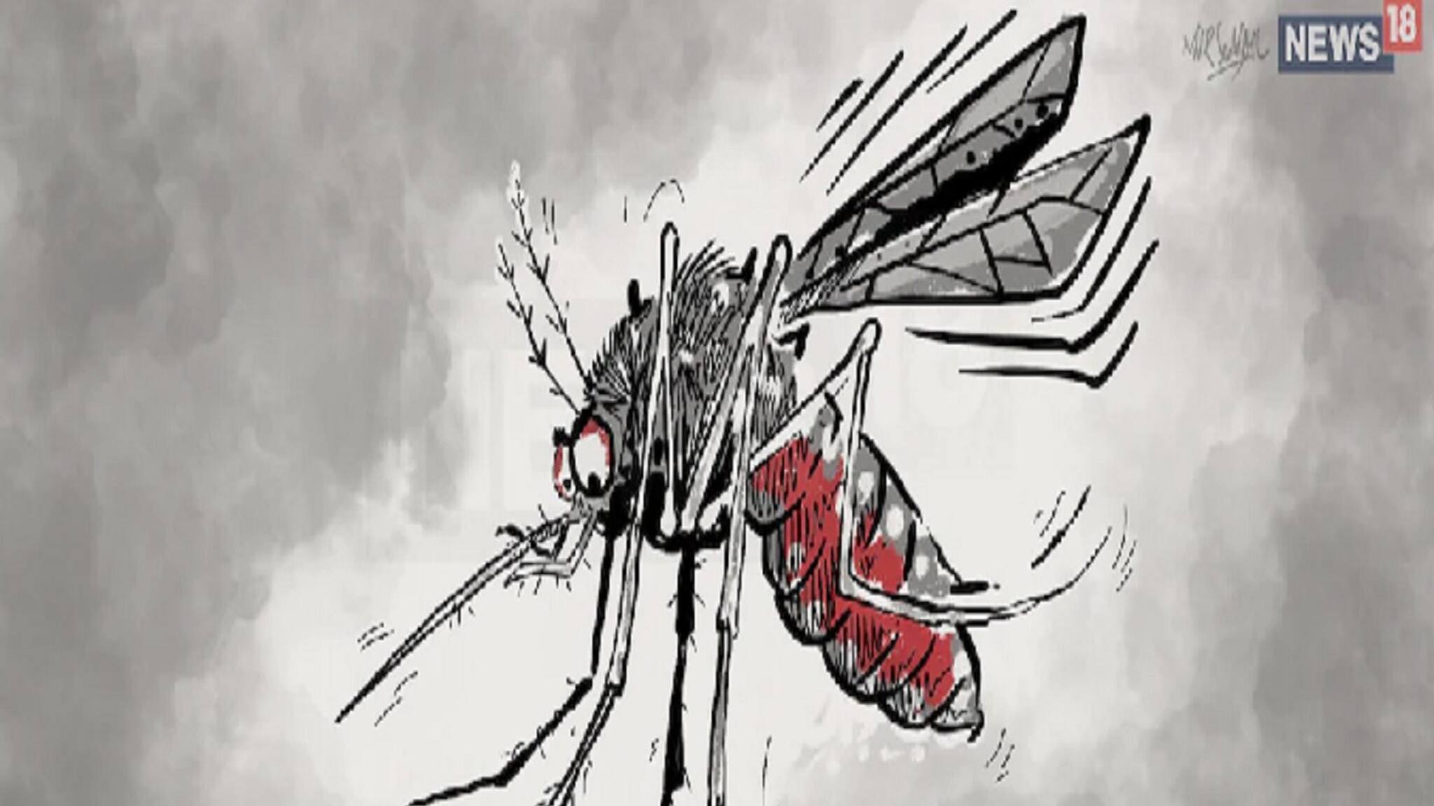 ডেঙ্গুর উপসর্গ হয়ে উঠছে মারাত্মক, বুঝবেন কী ভাবে? জেনে নিন বিস্তারিত!