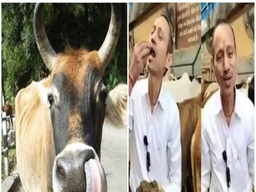 গোবর খেয়ে গুণগান চিকিৎসকের...