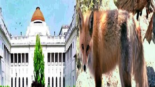 মারাত্মক ঘটনা