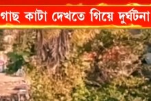 গাছ কাটা দেখতে গিয়ে মর্মান্তিক দুর্ঘটনা, মৃত্যু ৯ বছরের শিশুর