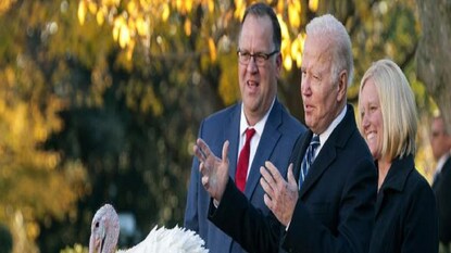 টার্কি মুরগিদের ক্ষমা করলেন প্রেসিডেন্ট টার্কি মুরগিদের ক্ষমা করলেন প্রেসিডেন্ট