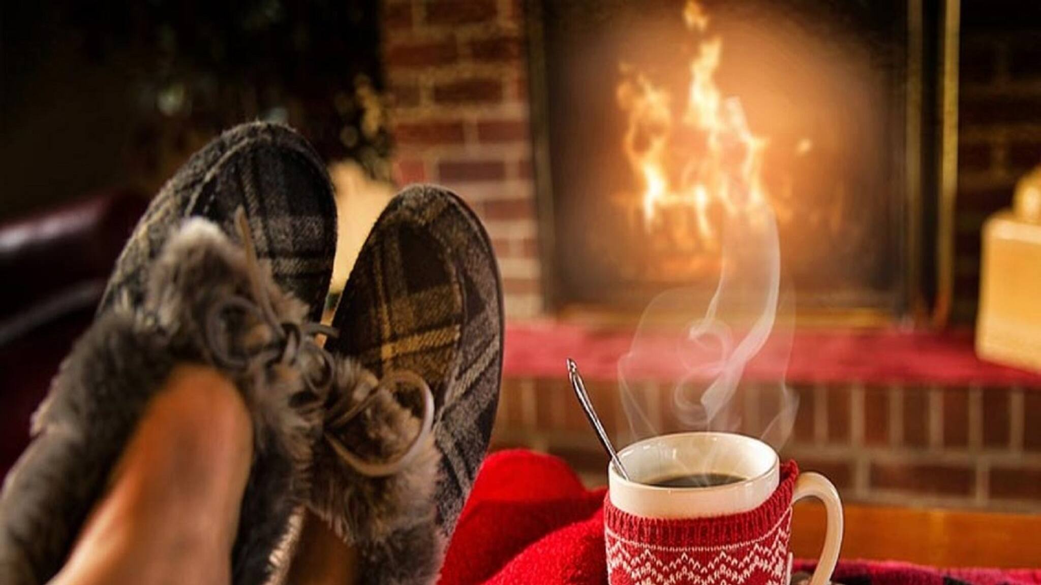 Winter Weight Gain Problem: শীতকালে গড়ে প্রায় দেড় কেজি পর্যন্ত ওজন বাড়ে! শুরুতেই সাবধান না হলে বিপদ