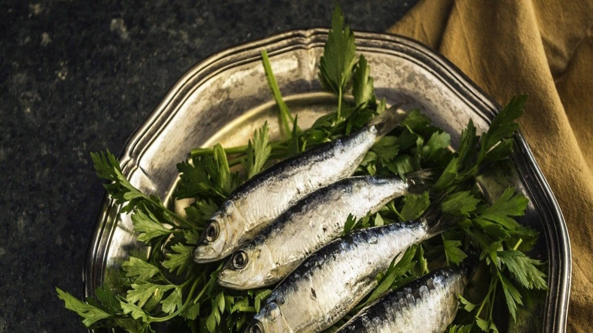 Fish for Weight Loss: মাছ খেয়েই ওজন কমানো সম্ভব, জানুন কোনগুলি খেতে হবে?