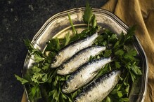 Fish for Weight Loss: মাছ খেয়েই ওজন কমানো সম্ভব, জানুন কোনগুলি খেতে হবে? Fish for Weight Loss: মাছ খেয়েই ওজন কমানো সম্ভব, জানুন কোনগুলি খেতে হবে?