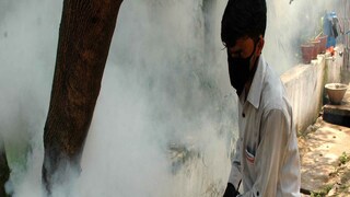 বাড়ছে ম্যালেরিয়া