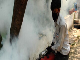 বাড়ছে ম্যালেরিয়া