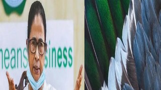 নতুন শিল্পের হদিশ মুখ্যমন্ত্রীর