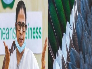 নতুন শিল্পের হদিশ মুখ্যমন্ত্রীর