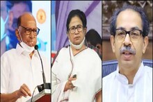 মঙ্গলে উদ্ধব, বুধে শরদের কাছে মমতা! মুম্বইয়ে দিতে পারেন শাহরুখ-চমকও