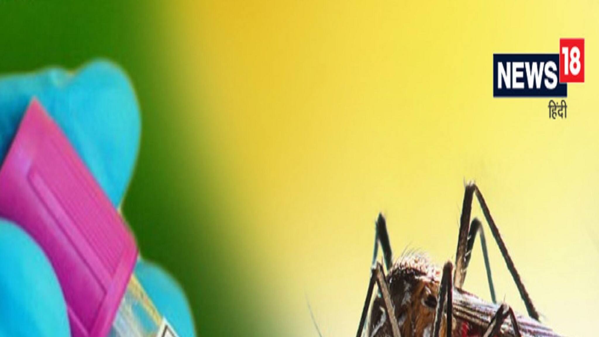 কখন এডিস মশা বেশি কামড়ায়? ডেঙ্গু সংক্রমণ এড়াতে কী কী প্রতিরোধমূলক ব্যবস্থা নিতে হবে?