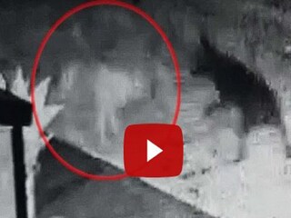 viral video
