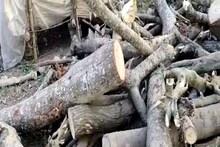 ছিল সারি-সারি, হঠাৎ রাণীনগরের সব 'সম্পত্তি' উধাও! তুমুল চাঞ্চল্য