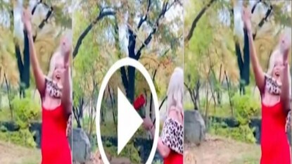 পশুরাজের প্রেমে যা করলেন মহিলা! পশুরাজের প্রেমে যা করলেন মহিলা!