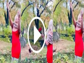 পশুরাজের প্রেমে যা করলেন মহিলা! 