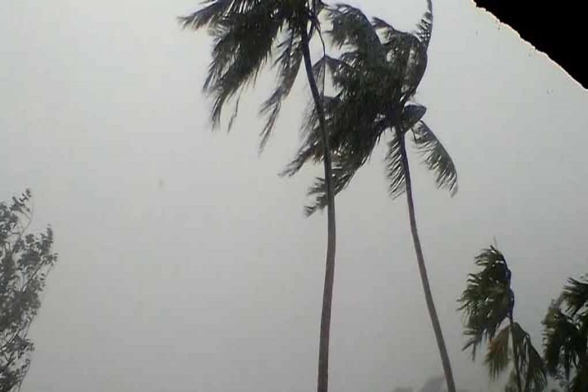 West Bengal Weather Alert: ফের ঘূর্ণিঝড়! প্রবল ভাবে ঘনীভূত হচ্ছে! শনি-রবিবার দক্ষিণবঙ্গ ঝড়বৃষ্টিতে কাঁপানোর সম্ভাবনা...