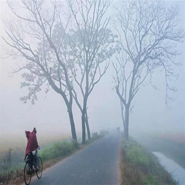 আজ সকালে কলকাতা সর্বনিম্ন তাপমাত্রা ছিল ১৯.৯ ডিগ্রি সেলসিয়াস। স্বাভাবিকের থেকে ৪ ডিগ্রি বেশি। গতকাল বিকেলে সর্বোচ্চ তাপমাত্রা ছিল ২৭.৪ ডিগ্রি সেলসিয়াস। বাতাসে আপেক্ষিক আর্দ্রতার পরিমাণ ছিল ৬৯ থেকে ৯৬ শতাংশ। গত ২৪ ঘণ্টায় বৃষ্টি হয়নি।