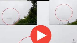 নিজস্ব চিত্র নিজস্ব চিত্র