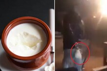 বাড়ি গিয়ে দই চাই শেষ পাতে, ট্রেন থামিয়ে দইওয়ালার কাছে ছুটলেন চালক, দেখুন ভিডিও বাড়ি গিয়ে দই চাই শেষ পাতে, ট্রেন থামিয়ে দইওয়ালার কাছে ছুটলেন চালক, দেখুন ভিডিও