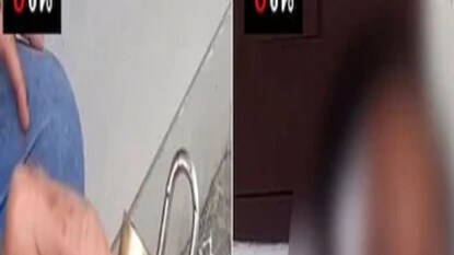 Photo: Collected Photo: Collected