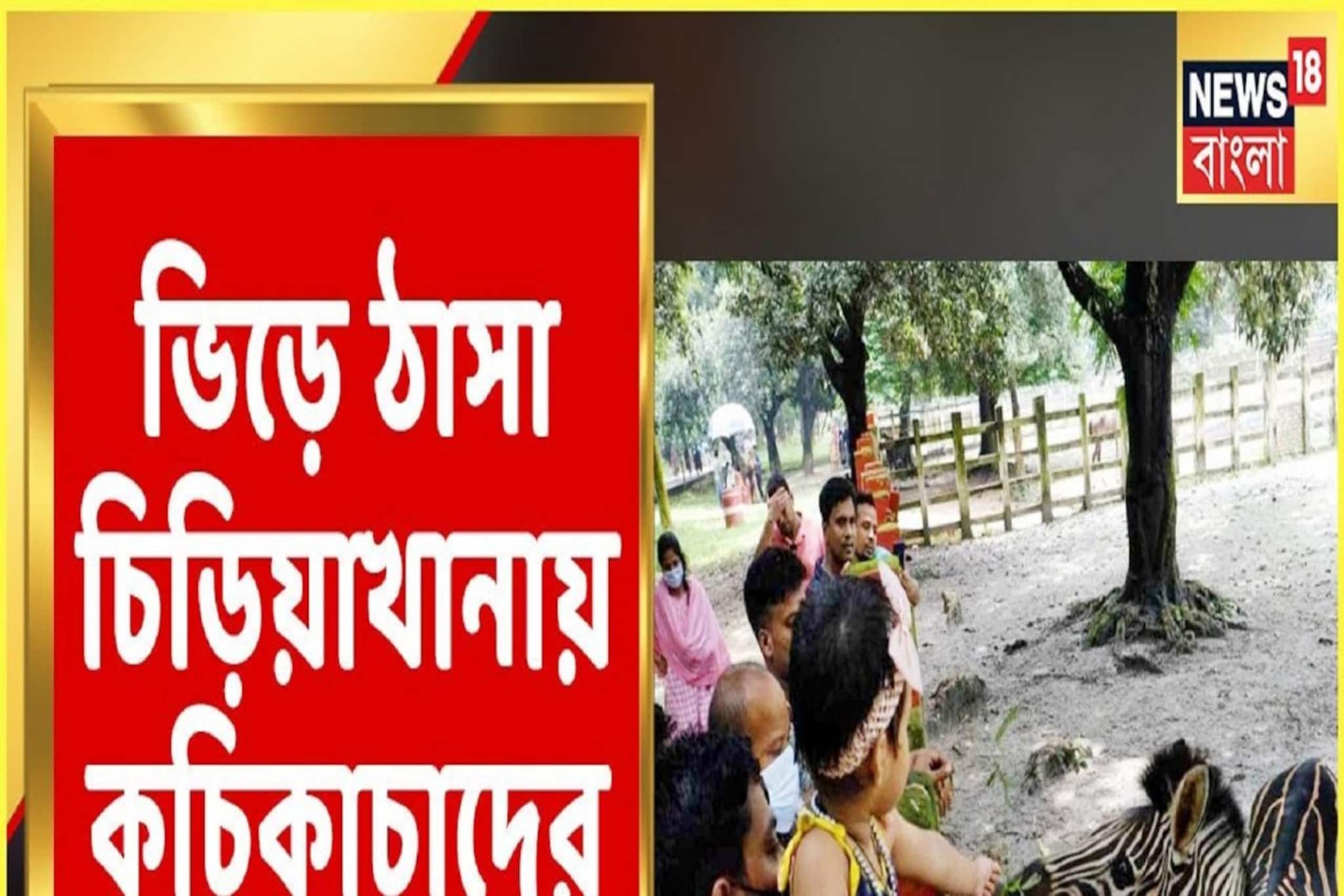বছরের শেষ রবিবার, ভিড় উপচে পড়ছে চিড়িয়াখায়! দেখুন