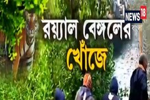 ৫ দিন পরেও কুলতলিতে অধরা রয়্যাল বেঙ্গল টাইগার, দেখুন ৫ দিন পরেও কুলতলিতে অধরা রয়্যাল বেঙ্গল টাইগার, দেখুন