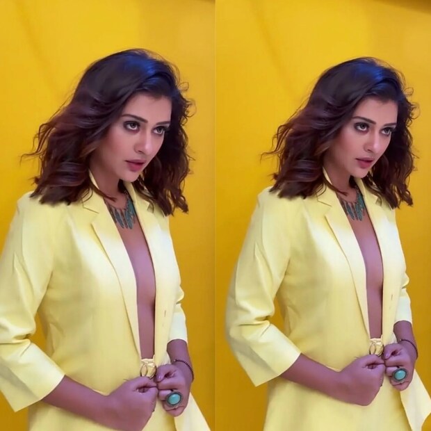 একই সঙ্গে অভিনেত্রীর মা স্বয়ং মেয়ের এমন ছবি দেখে পায়েলকে ফিল্ম ইন্ডাস্ট্রি ছেড়ে দিতে বলেন। মা তাঁর মেয়ের এই ছবিগুলি দেখার সঙ্গে সঙ্গেই ফোন করে অবিলম্বে তাকে ফিল্ম ইন্ডাস্ট্রি ছেড়ে দেওয়ার অনুরোধ করেন এবং বলেন যে তিনি কোনও ভাবেই এই ধরনের ট্রোলিং সহ্য করবেন না। Photo: Instagram