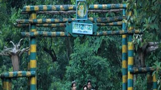 ৫ দিন পর খুলেছে বক্সার জঙ্গল সাফারি, রয়্যাল বেঙ্গল দেখতে উপচে পড়ল ভিড়!