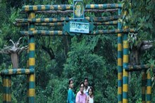 ৫ দিন পর খুলেছে বক্সার জঙ্গল সাফারি, রয়্যাল বেঙ্গল দেখতে উপচে পড়ল ভিড়!