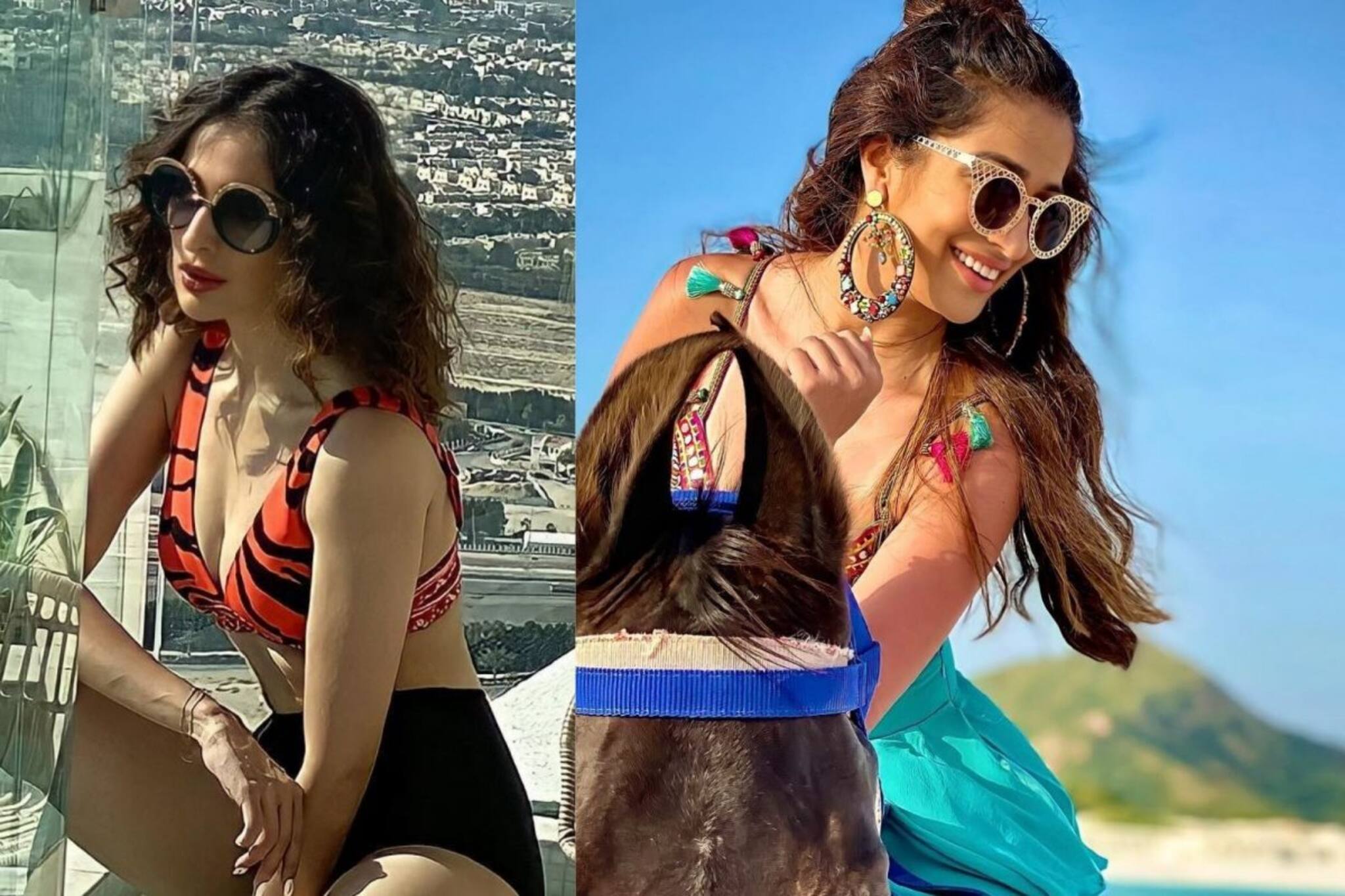 'ধোনির সঙ্গে সম্পর্কটা আমার জীবনে একটা দাগের মতো', আক্ষেপ এই অভিনেত্রীর