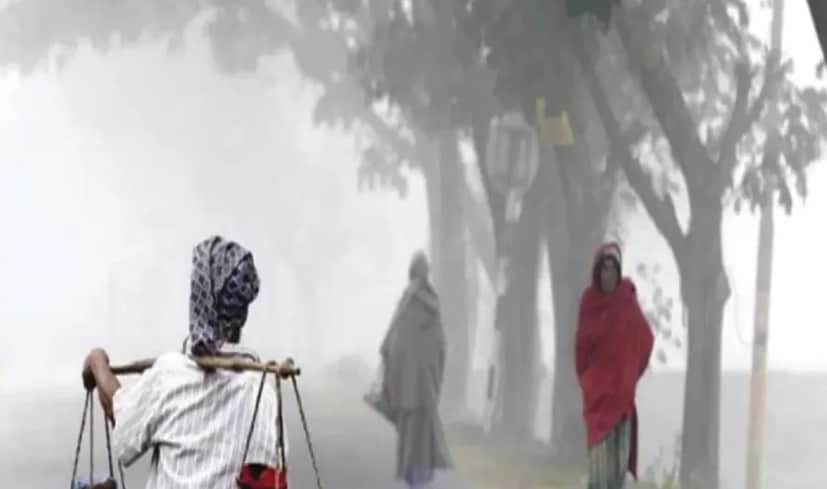 উত্তর ভারতের বিভিন্ন জায়গায় শৈত্যপ্রবাহের পূর্বাভাস দেওয়া হয়েছে আবহাওয়া দফতরের তরফ থেকে। Representative Image