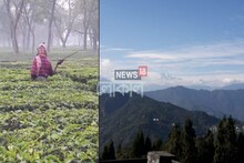 পর্যটনের বিকাশে সামিল হবে জলপাইগুড়ির  নবীনরা! টুরিস্ট গাইডের প্রশিক্ষণ পেয়ে আয়ের দিশা