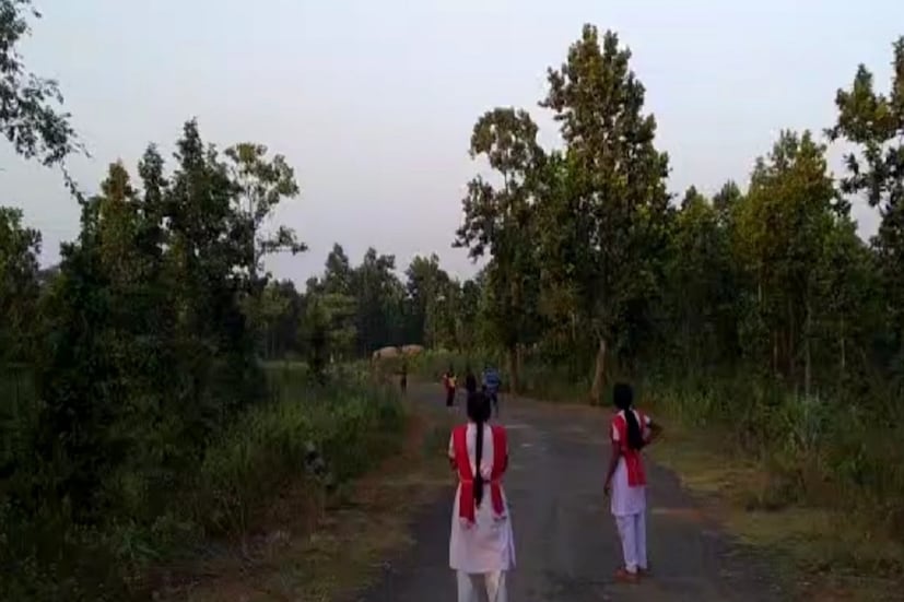 তেমনি সাড়ে তিনটের পর বিদ্যালয় ছুটি হয়ে যাওয়ায় বিভিন্ন বিদ্যালয়ের ছাত্র-ছাত্রীরা রাস্তার মধ্যে আটকে পড়ে। যার ফলে সমস্যায় পড়েন ওই ছাত্রছাত্রীরা। বিশেষ করে সবথেকে বেশি সমস্যায় পড়েছেন দুধকুন্ডি বাপুজী চারুলতা বালিকা বিদ্যালয়ের ছাত্রীরা। বৃহস্পতিবার সাড়ে তিনটের সময় বিদ্যালয় ছুটি হয়েছে। কিন্তু সন্ধ্যা ছটা পর্যন্ত তারা হাতির পথ অবরোধের ফলে আটকে থাকে। কিভাবে তারা বাড়ি ফিরে যাবেন তা নিয়ে তারা চিন্তায় শুরু হয়ে যায়।