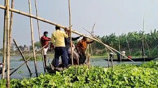 সরানো হচ্ছে জলঙ্গি নদী থেকে বাঁধাল