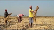 নদিয়া জেলার সব খবর রাত ৮ টায়