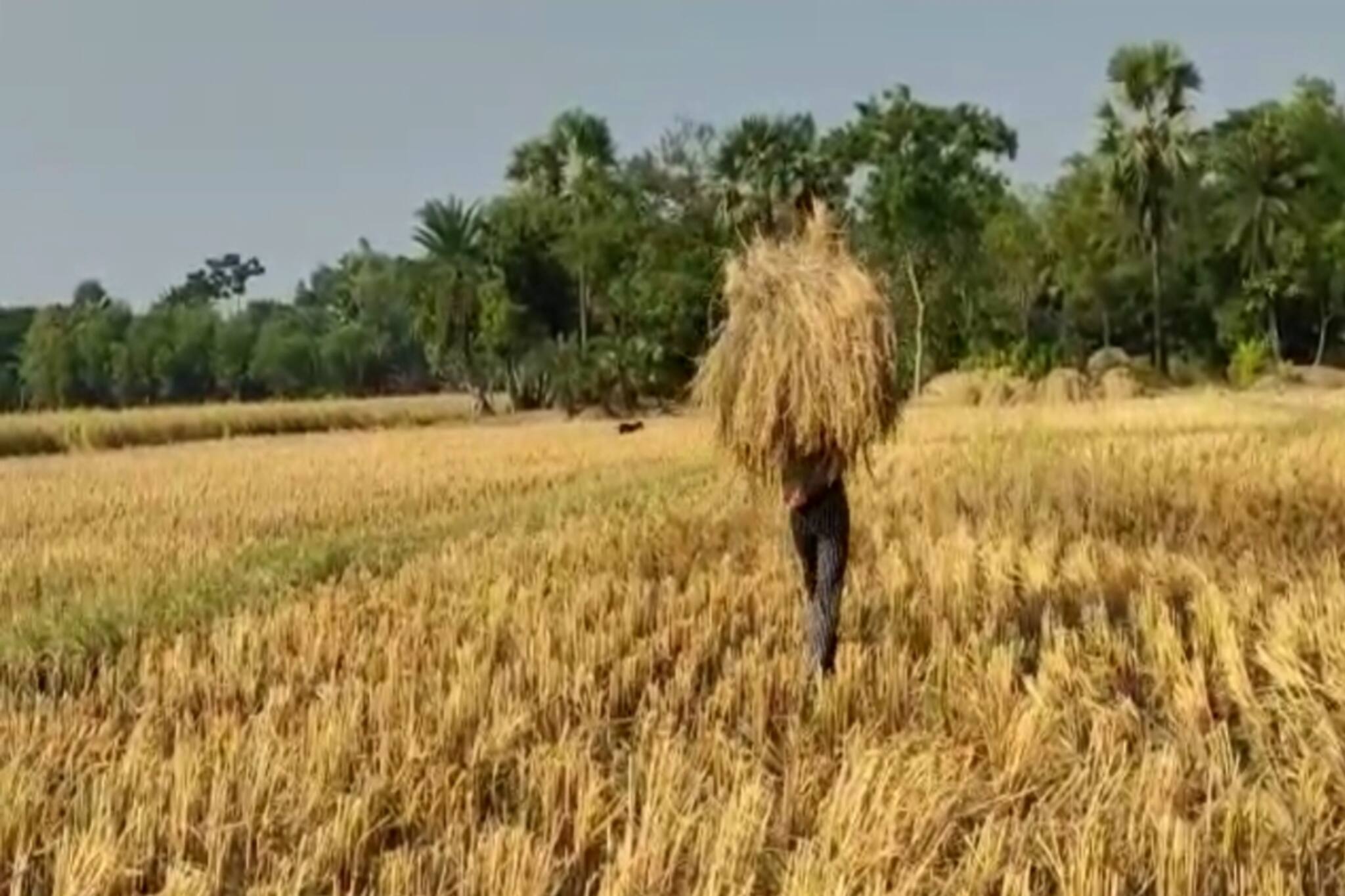 South 24 Parganas: জেলার উপর দিয়েই বয়ে যাবে নিম্নচাপ