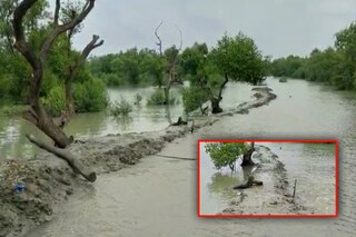 নদী বাঁধ উপচে জল ঢুকে প্লাবিত বিস্তীর্ণ এলাকা