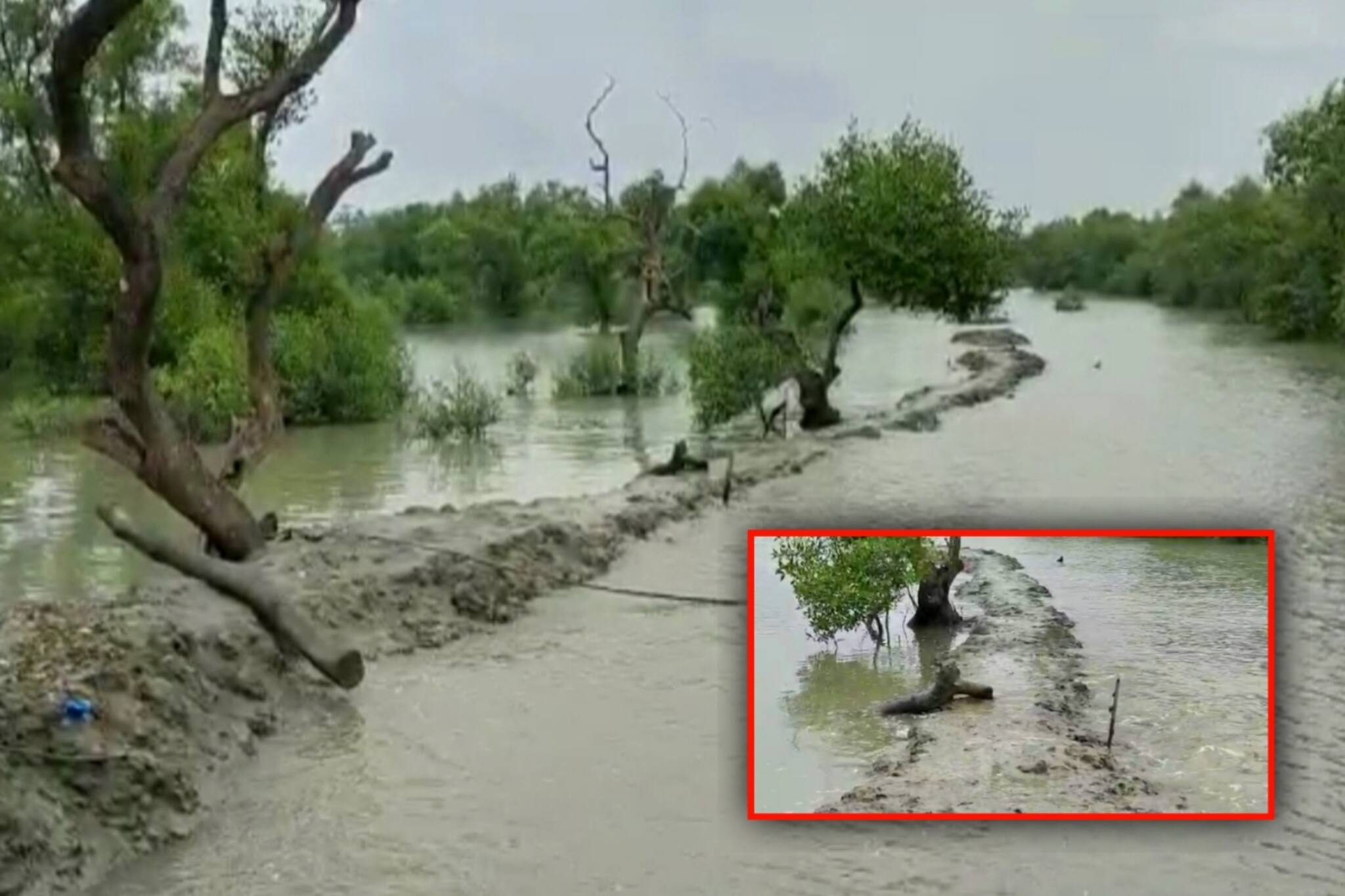 South 24 Parganas: জেলায় চলছে টানা ভারী বৃষ্টি, প্লাবিত বহু এলাকা