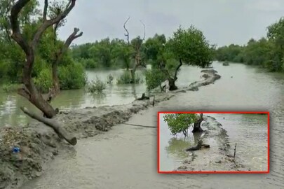 নদী বাঁধ উপচে জল ঢুকে প্লাবিত বিস্তীর্ণ এলাকা নদী বাঁধ উপচে জল ঢুকে প্লাবিত বিস্তীর্ণ এলাকা