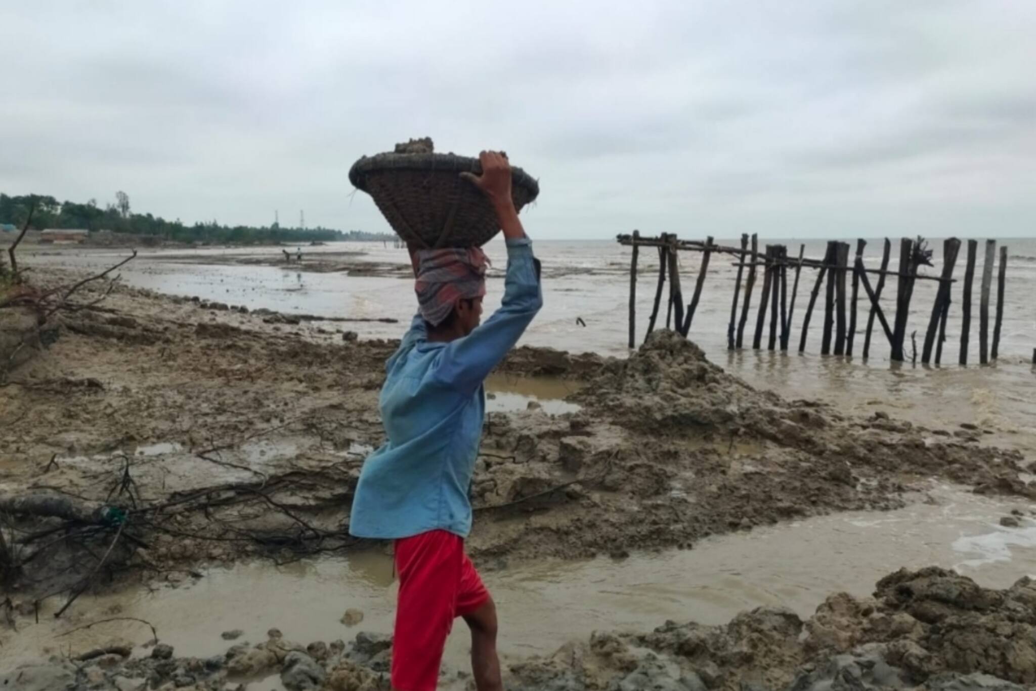 South 24 Parganas: মহিষামারি গ্রামে নদী বাঁধ ভেঙে প্লাবিত বিস্তীর্ণ এলাকা