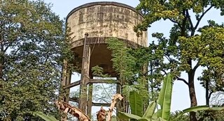 বিধাননগরে বেহাল অবস্থায় ওভারহেড জল ট্যাঙ্ক।