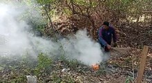 মৌমাছির হানায় দুর্গাপুরে আক্রান্ত ছ'জন।