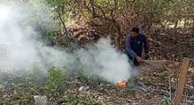 মৌমাছির হানায় দুর্গাপুরে আক্রান্ত ছ'জন। মৌমাছির হানায় দুর্গাপুরে আক্রান্ত ছ'জন।
