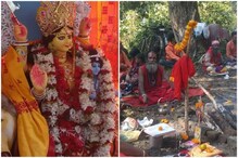 দীর্ঘ ৪১ বছরের প্রথা ভেঙে, পূর্ণিমার নিশুতি রাতে নয়, সকালেই পূজিতা হলেন বনের দেবী 'বনদুর্গা'। দীর্ঘ ৪১ বছরের প্রথা ভেঙে, পূর্ণিমার নিশুতি রাতে নয়, সকালেই পূজিতা হলেন বনের দেবী 'বনদুর্গা'।