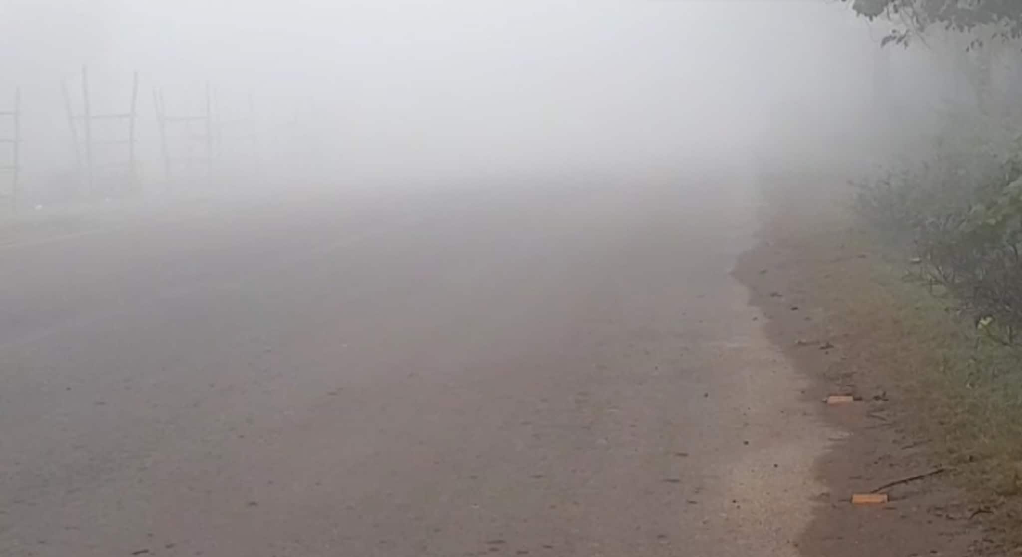 Paschim Bardhaman: ঘন কুয়াশায় মোড়া সকালে ঘুম ভাঙছে জেলাবাসীর